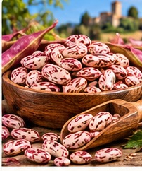 Fagioli Borlotti - fotografia illustrativa