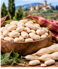 Fagioli Cannellini - fotografia illustrativa