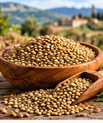 Lenticchie d’Abruzzo - fotografia illustrativa